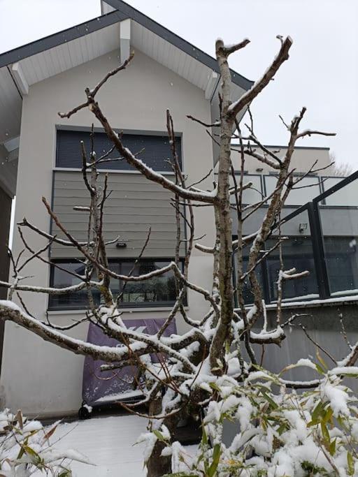 Superbe A 15min Du Revard Apartment Pugny-Chatenod
